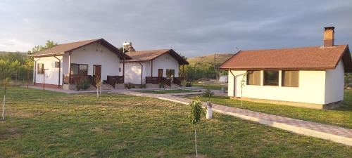 Peceneaga House | Zander House