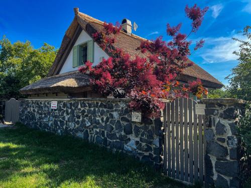 Pakozd Villa | Zanzara Guesthouse