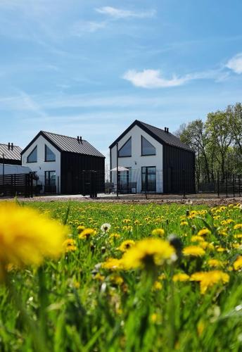 Zator House | ZATOR Domki INTERSTYL, Energylandia