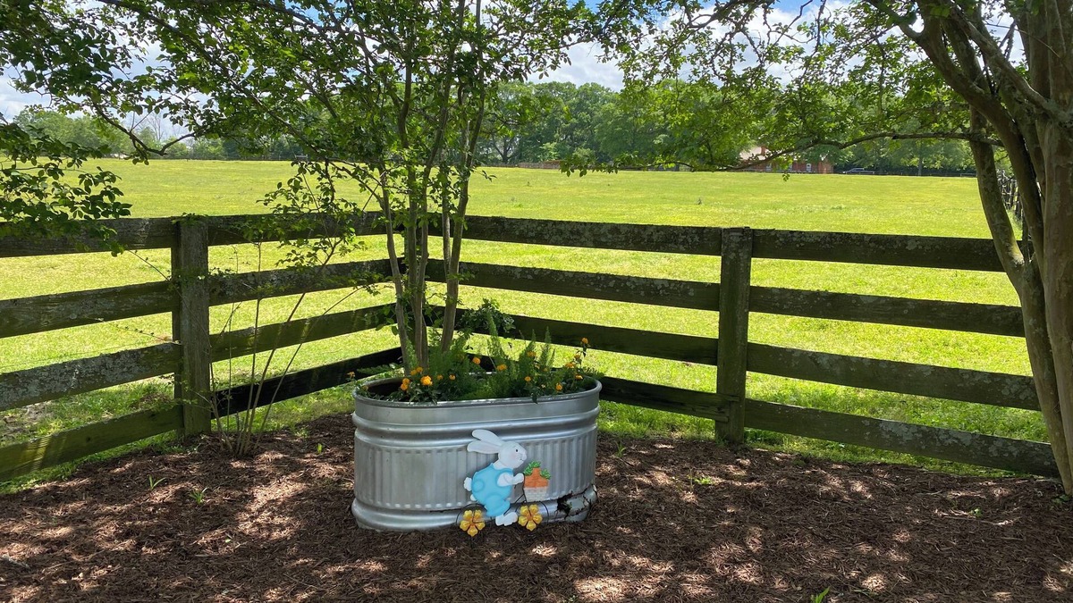 Malvern House | Zeke’s House: Bed and Barn Bliss