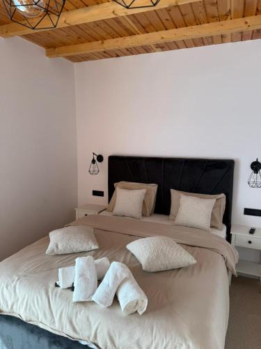 Slanic House | Zen Resort and Winery