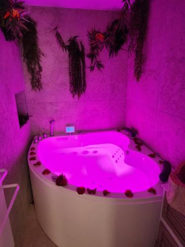 Hyeres City Centre Apartment | Zen room - Havre de paix