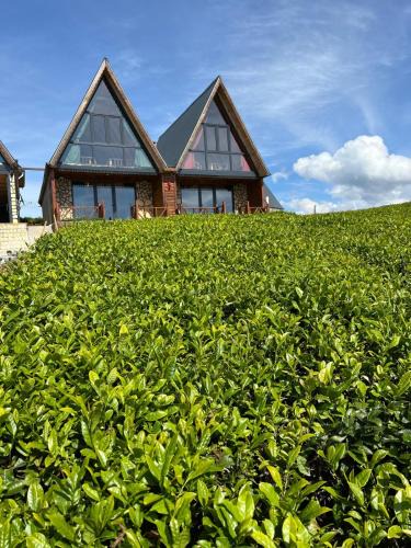 Ayder Hotel | zenimos bungalov