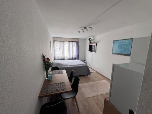 Sandrain Apartment | Zentrale 1-Zimmer-Wohnung Marzili Bern