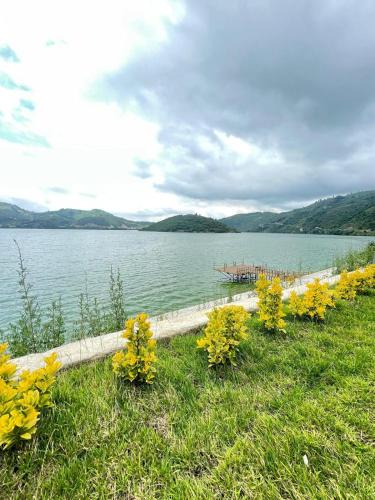Ayvacık House | Zevgar hotel bungalov