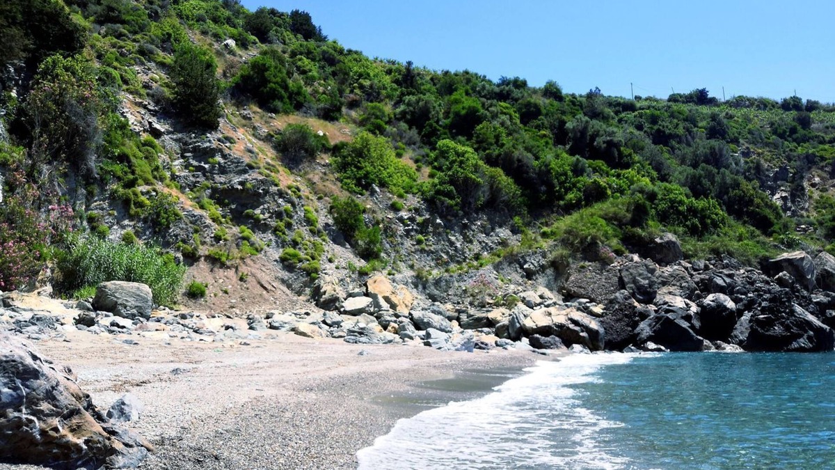 Gazipasa House | Zeytinada Pansiyon ve Gozleme