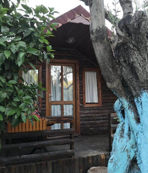 Zeytinli Hotel | Zeytindağı bungalow