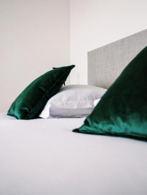 Vogelzang Apartment | ZILTE STILTE