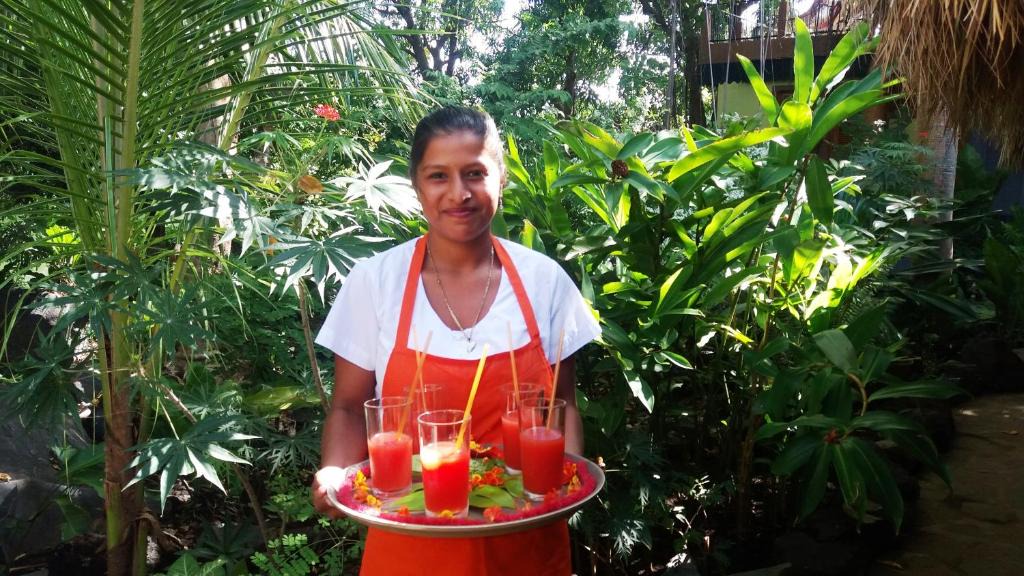 Granada Bed & Breakfast | Zopango Orchids Island