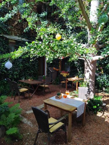 Stadtilm Hotel | Zum Ginkgobaum