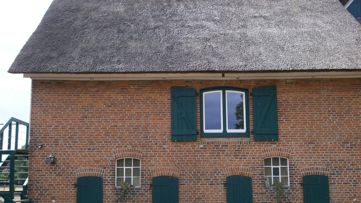 Heidmuhlen Apartment | zum Roten Gaul, Ferienwohnung - Ferienwohnung zum Roten Gaul