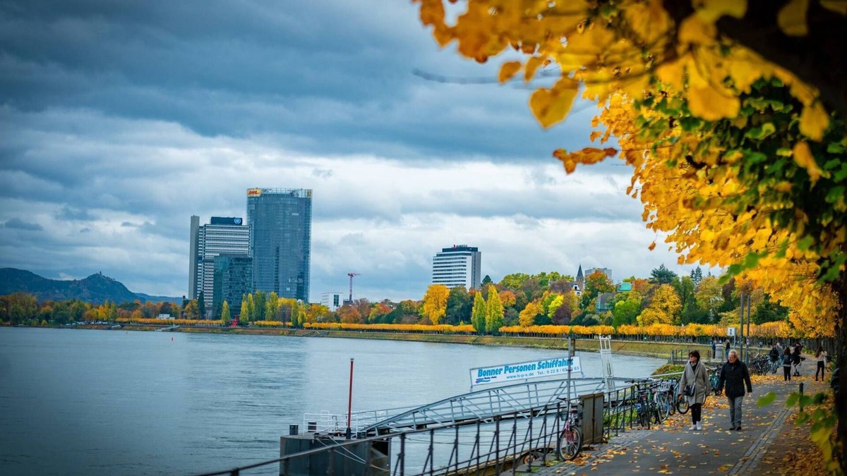 Pennenfeld Apartment | Zur Erholung Kannst du in 5 Minuten Entfernung den Rhein Genießen