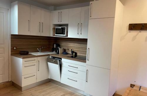 Saint-Etienne-de-Tinee Apartment | À louer beau deux-pièces St-Etienne-de-Tinée