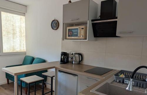 Plaine des Bouchers Apartment | écrin de lumière à 10 min de l'hypercentre