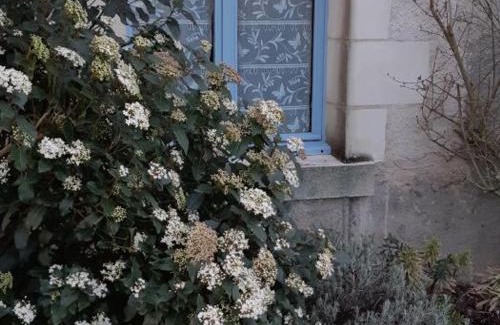 Luzille House | Évasion à Luzillé : Havre de Paix avec Jardin Privatif, proche Chenonceau et Beauval - FR-1-381-303
