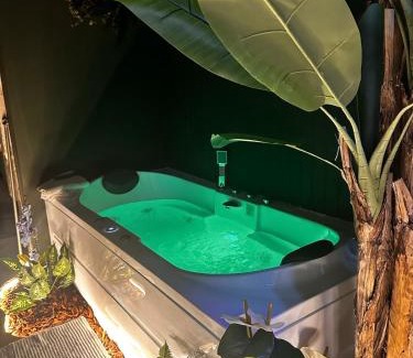 Centre Ville Apartment | Évasion tropicale à deux pas du centre Appartement Jungle