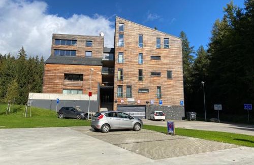 Harrachov Apartment | Útulný apartmán u Mumlavských vodopádů