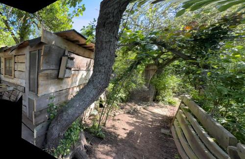 Berka/Werra Other | Übernachtung bei den Alpakas im Naturgarten Eigener Schlafsack