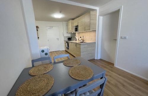 Chodov Apartment | Čenětická Apartment