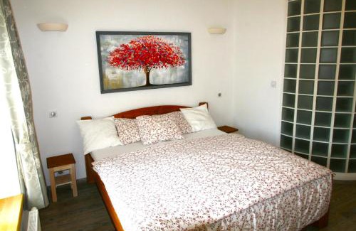 Koberovy Apartment | Červený Stylový Apartmán 3 km od Malé Skály