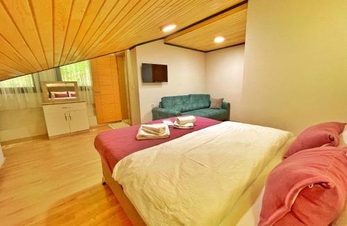 Uzungol Apartment | Şahin Home