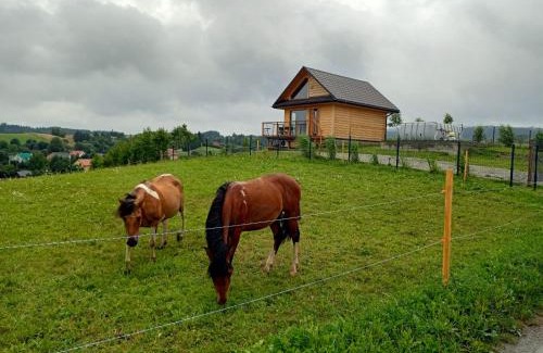Solina House | Żarniczki 693-387-544