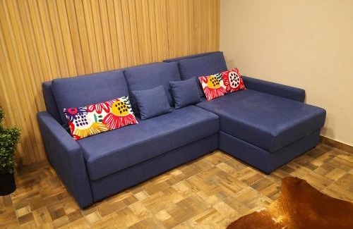 Birstonas Apartment | Žvėrinčiaus vila