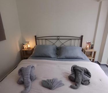 Vilia Apartment | Το ραχατι