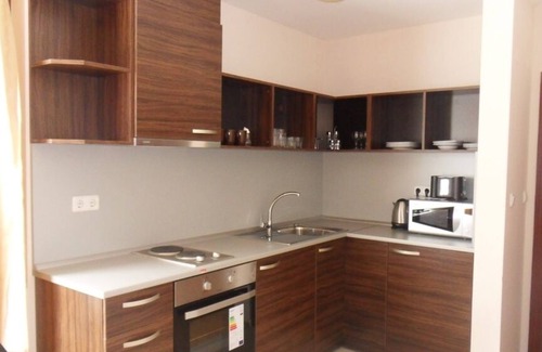 Shiligarnika Apartment | 1 Bed Aparmtent In Bansko plus sofa bed