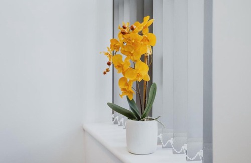 Nottingham Apartment | 1 Bed Stylish City Flat 2nd Floor close to City Centre with free parking, king size bed & Wi-Fi