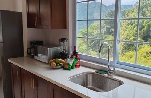 Gordon Town Apartment | 1-bedroom apartment in the Foothills of the Blue Mountains in Kingston