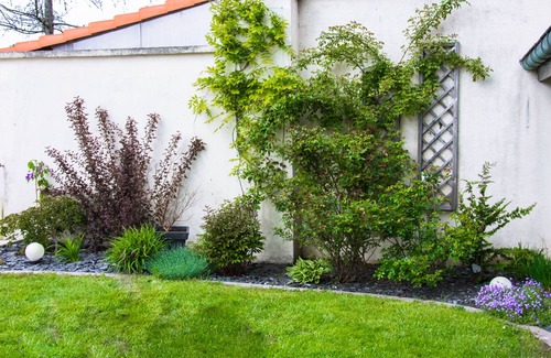 La Baffe Bed & Breakfast | 1 Bedroom Bed & Breakfast In La Baffe