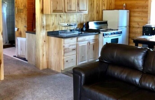 Del Norte Cabin | 1-bedroom cabin just a short walk to Rio Grande