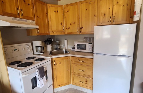 Okanagan-Similkameen Condo | 1 bedroom condo w/PRIVATE hot tub & INCREDIBLE mountain views!