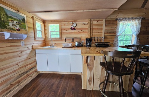 Freeman Cabin | 1 BR/1BR Lofted Cabin West Virginia Hatfield McCoy ATV Trails