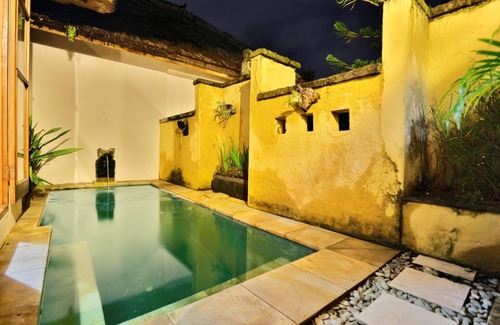 Penatih Villa | 1 BR Villa near Ubud with kitchen, private plunge pool, paddy fields view