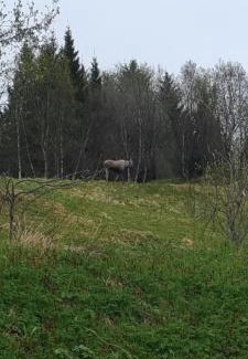 Oksnes House | 1 Hel Hytte i naturskønt område