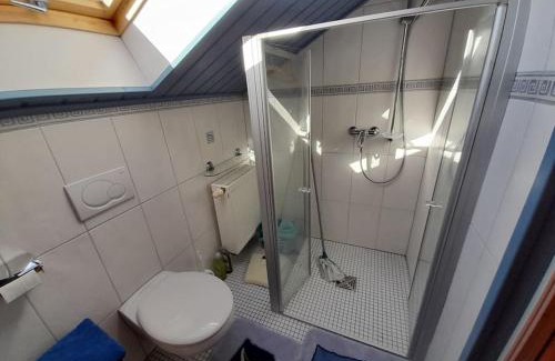 Hammelbach Apartment | 1-Zimmer-Studio am Waldrand