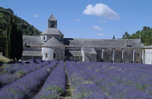 Entraigues-sur-la-Sorgue House | 100 m² House ∙ 3 bedrooms ∙ 8 guests