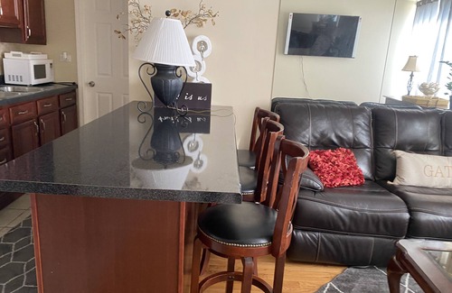 Rosemont Condo | 10 min walk to Stevenson Convention Center