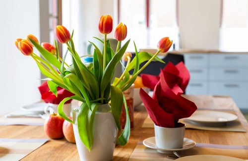 Ekenis House | 100 m² House ∙ 2 bedrooms ∙ 4 guests