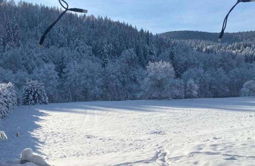 Lutowiska Cabin | 100 m² Lodge ∙ 4 bedrooms ∙ 10 guests