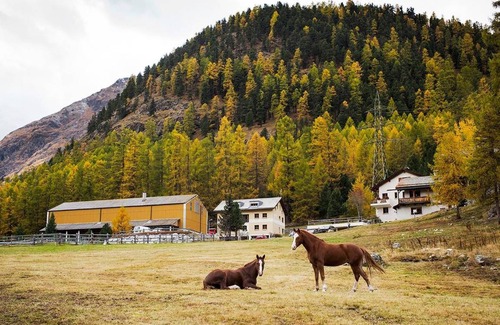 Pontresina Apartment | 110 m² Apartment ∙ 4 bedrooms ∙ 8 guests
