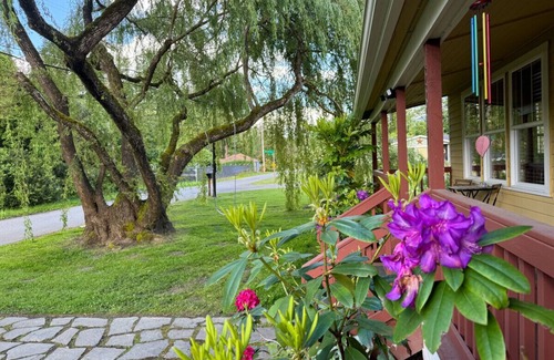 Fall City Apartment | 118 - The Willow Tree Bungalow