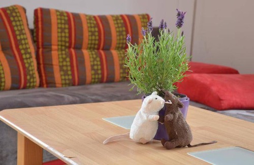 Lipno nad Vltavou Apartment | 120 m² Apartment ∙ 3 bedrooms ∙ 8 guests