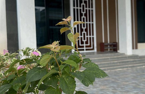 Singkawang House | 120 m² House ∙ 3 bedrooms ∙ 10 guests