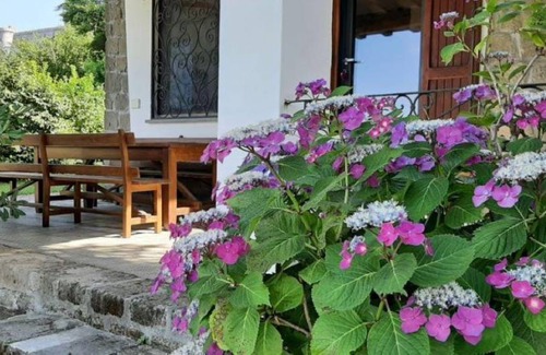 Lake Bracciano Apartment | 123 m² Apartment ∙ 3 bedrooms ∙ 5 guests