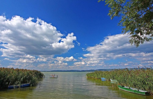 Balatonbereny Other | 130 m² Accommodation ∙ 4 bedrooms ∙ 8 guests