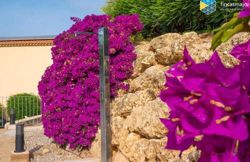 Cala Romantica Villa | 140 m² Villa ∙ 2 bedrooms ∙ 3 guests