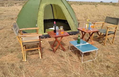 Amboseli Cabin | 15 m² Cabin ∙ 1 bedroom ∙ 2 guests